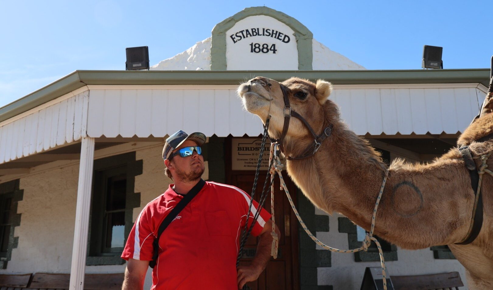 camels ... outside the iconic Birdsville Hotel in the Queensland outback. Photo: Beaver Brophy/supplied.