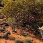 Another space launch, another safe return at SA test range