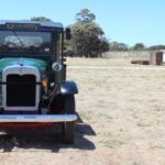 Wheat growers to bear brunt of shortfall in 2026-27 winter grain crop production