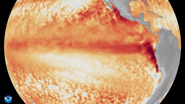 Satellite imagery shows the difference in average sea surface temperatures at the equator in the Pacific Ocean in the first week of June 3, 2026 (the warm temperatures are shown using various shades of red and orange). Image: NOAA Satellites.