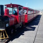 Names for Australind trains unveiled as Perth-Bunbury service start approaches