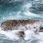 El Nino edging closer to a southern return backed by Japan, US alerts