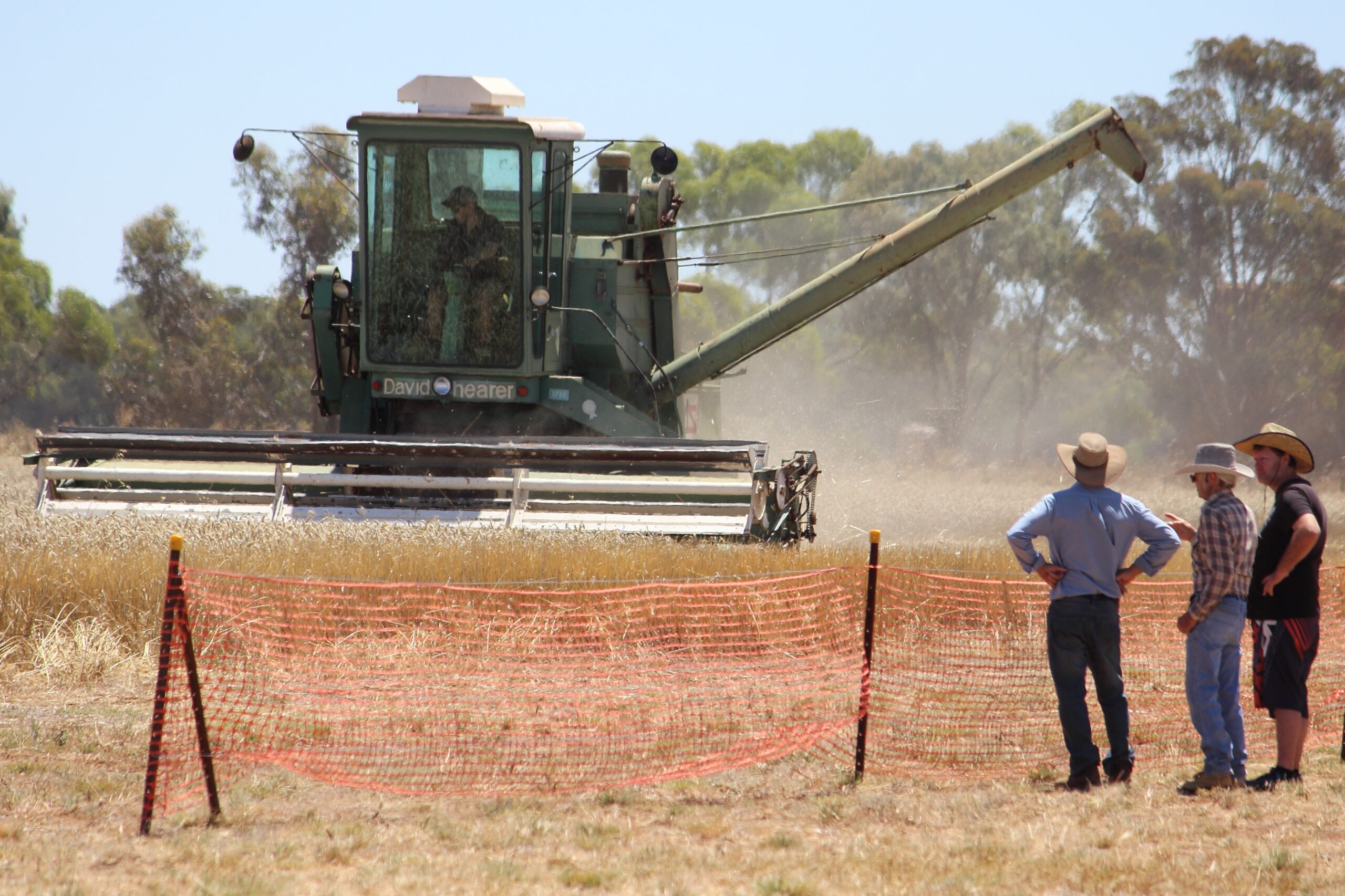 FILE …the new rail hub could allow more than 300,000 tonnes of grain to be taken to Ballarat. Photo: ANDREW KACIMAIWAI