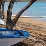 Townsville airport to get daily bus service to city CBD for 50 cents