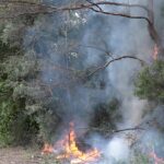 Controlled burning marks the start of Moreton Bay’s new bushfire season