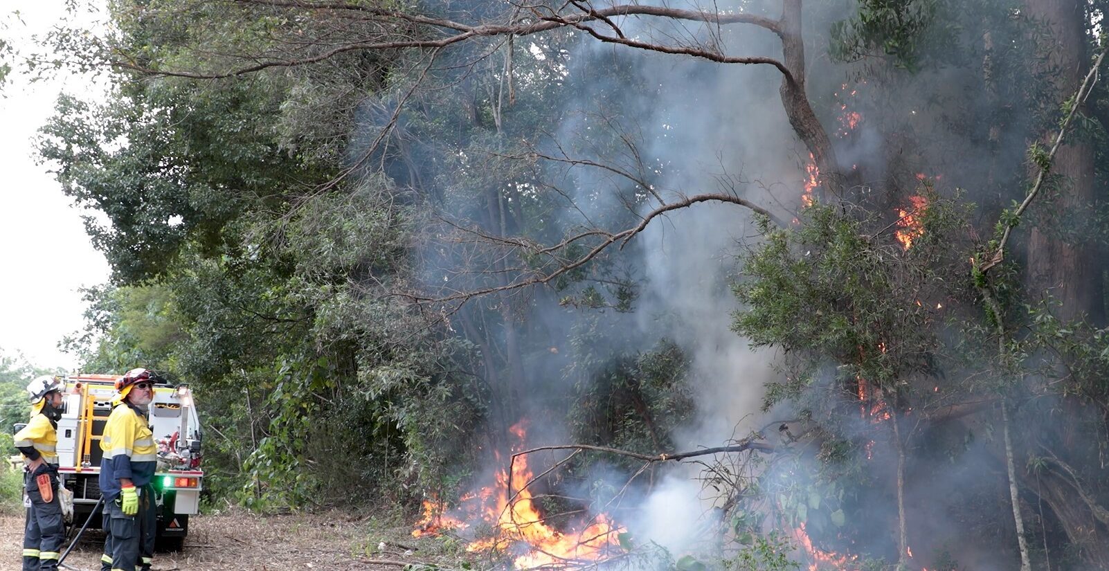 A controlled burn at Albany Creek. Photo: Moreton Bay council