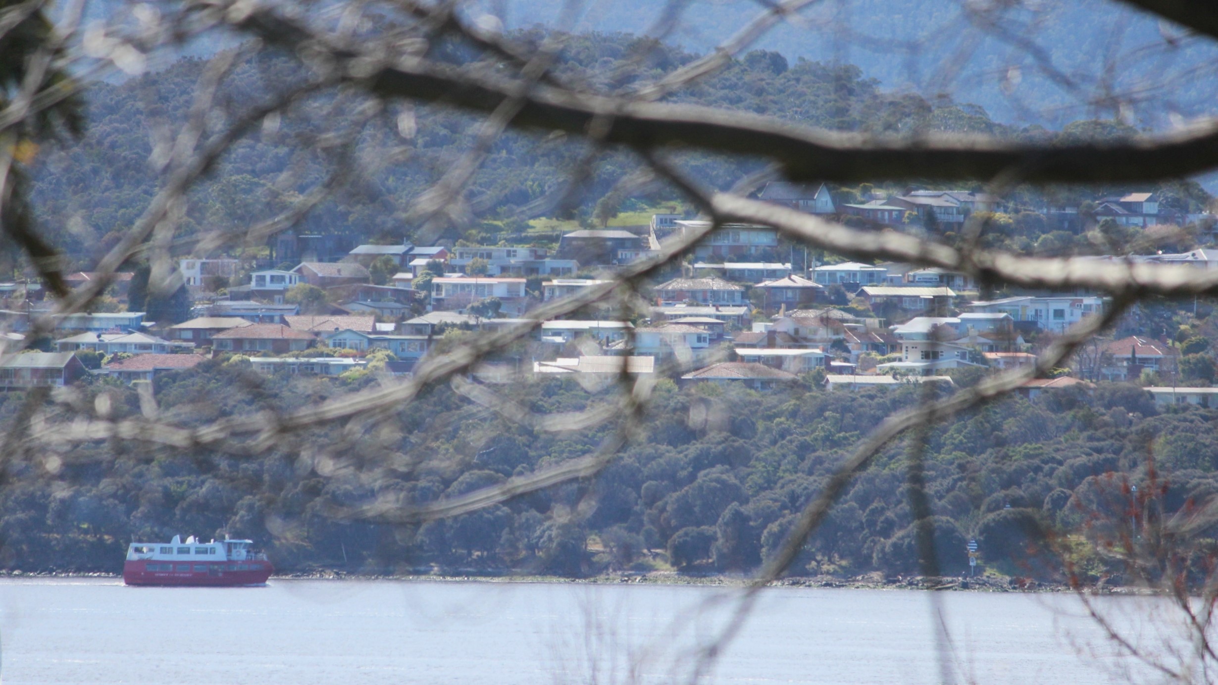 Hobart council says local government is facing increasing costs due to climate disasters. Photo: ANDREW KACIMAIWAI