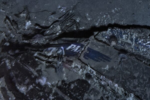 Sonar images of the wreckage captured the airline’s logo on the nose. Photos courtesy AirSea Heritage Foundation and Deep Sea Vision