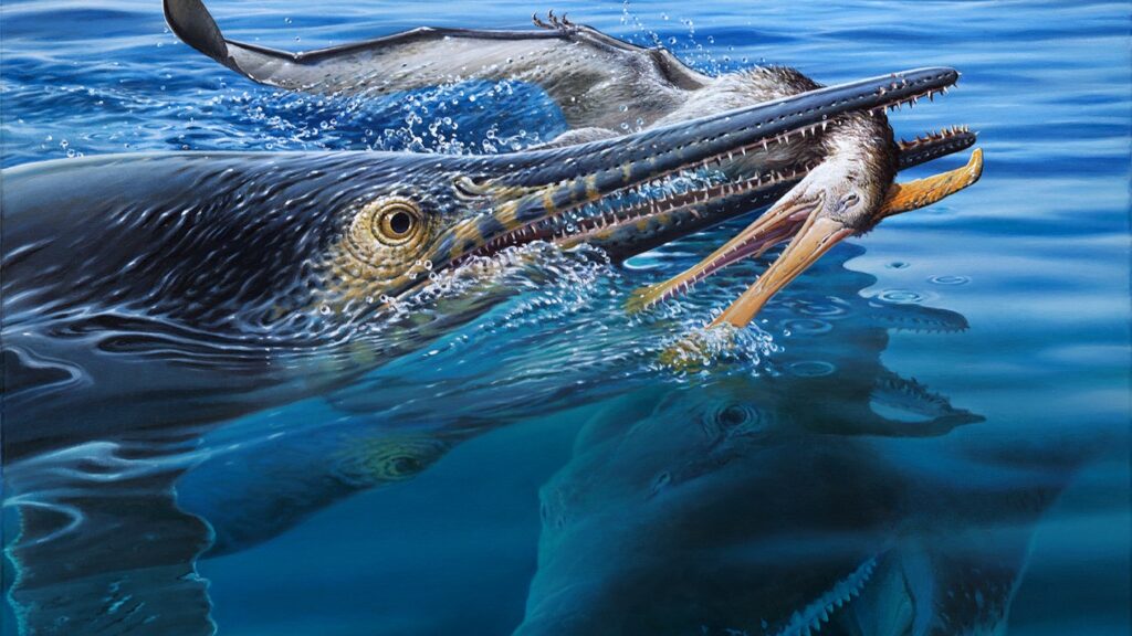frozen ... Dr Peter Trusler’s illustration of the ichthyosaur feeding on the pterosaur as the kronosaurus attacks.