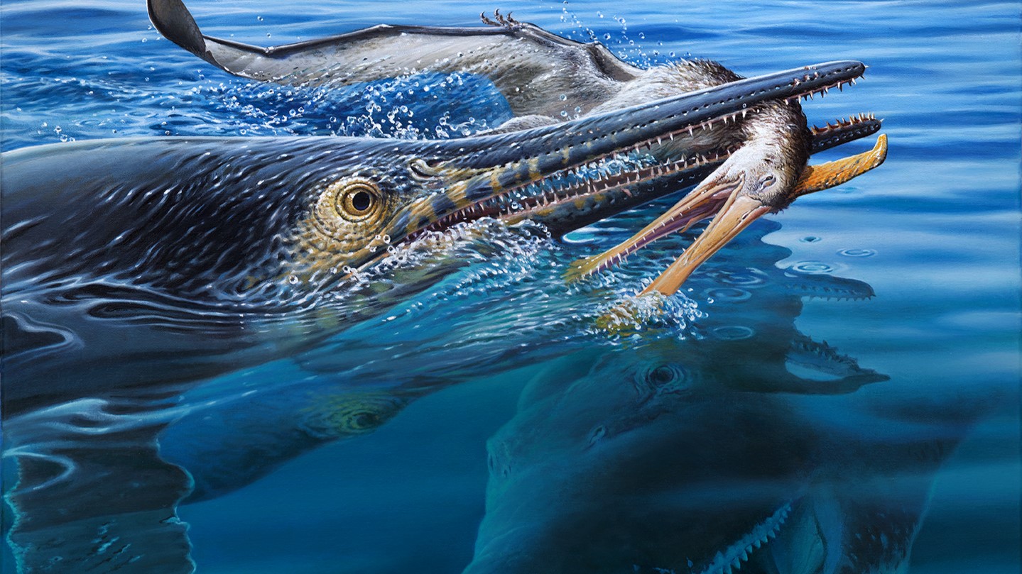 frozen ... Dr Peter Trusler’s illustration of the ichthyosaur feeding on the pterosaur as the kronosaurus attacks.