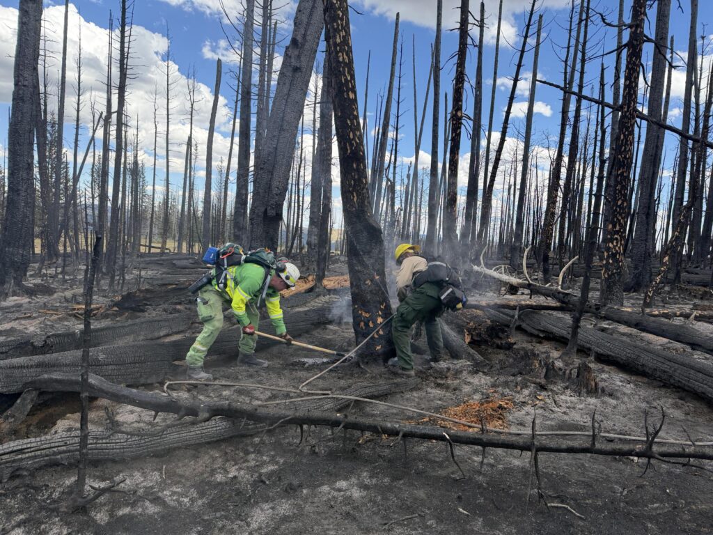 first ... Australian and NZ firefighters working on the Black Canyon Fire in Utah recently. Photo: InciWeb/National Interagency Fire Center.