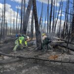 First firefighters to start returning home after month spent fighting US bushfires