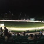 Greyhound racing in inner Sydney to get rock concert farewell