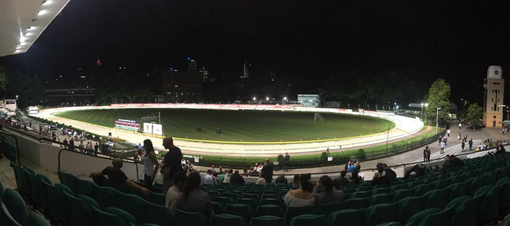 GRNSW IS expected to pack out Wentworth Park for the final night of greyhound racing on October 16. Photo: Neil Brown/supplied.