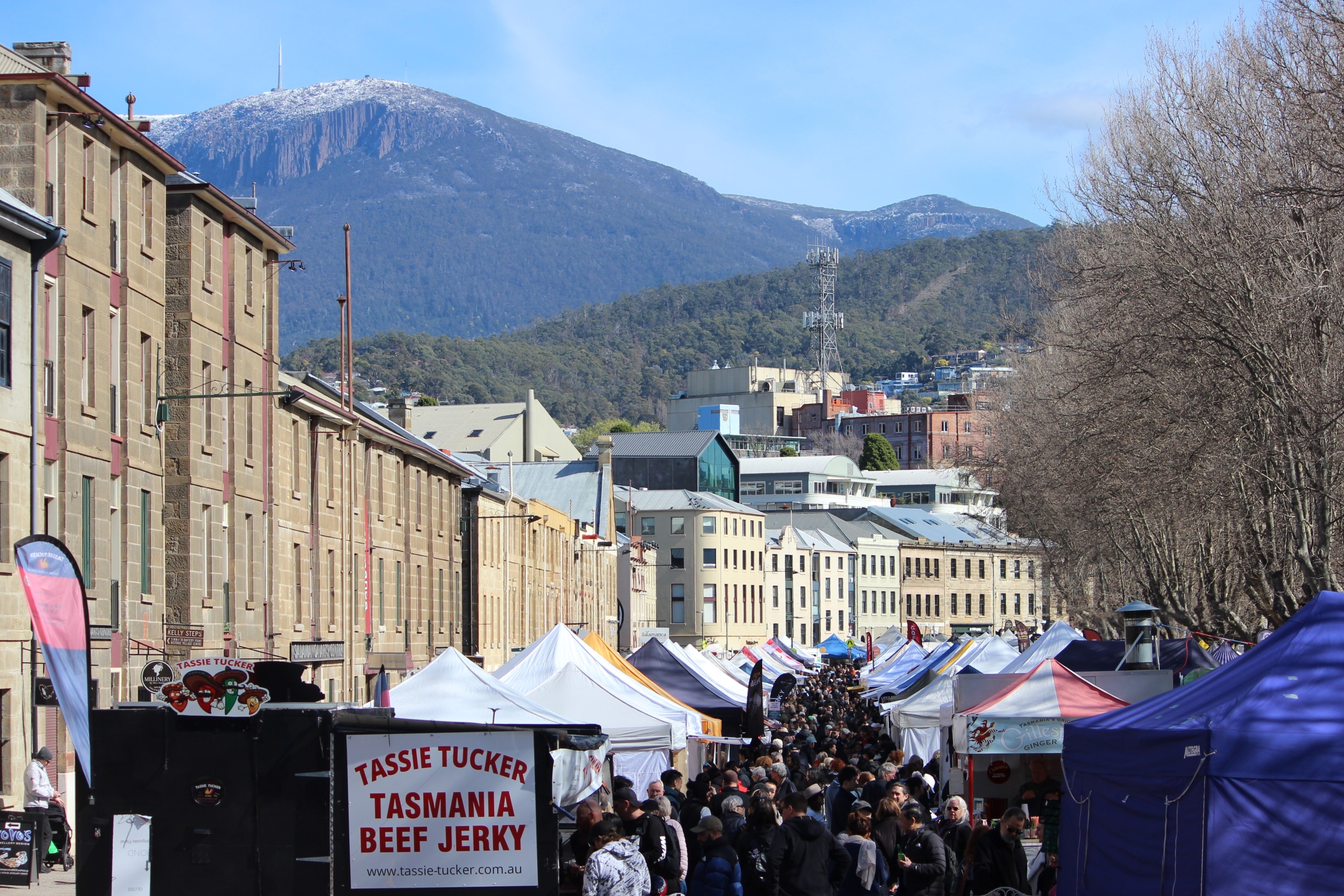 direct ... The Salamanca markets are held along Hobart’s waterfront every Saturday. Photo: ANDREW KACIMAIWAI