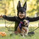 RSPCA wants animal safety to top Halloween ‘must do’ lists