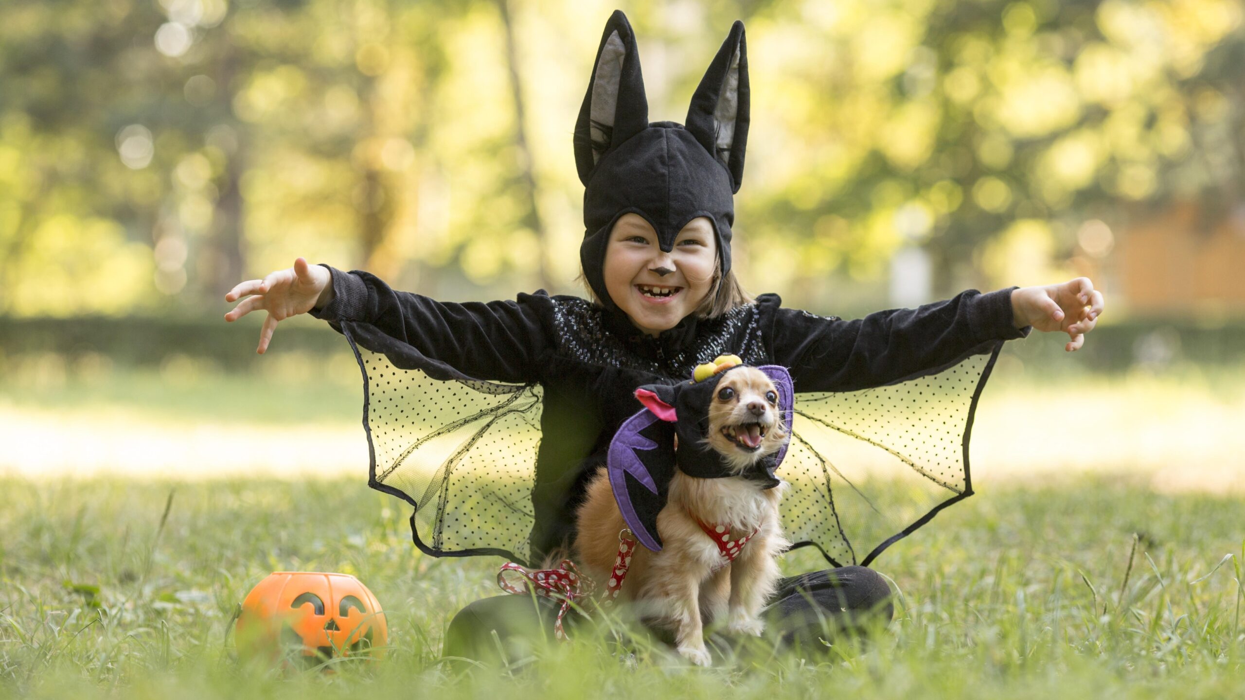 Pets may not want to be dressed up in costumes, the RSPCA says. Photo: magnific
